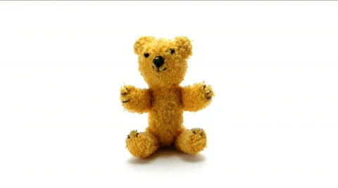 Bear falls back Stock Footage