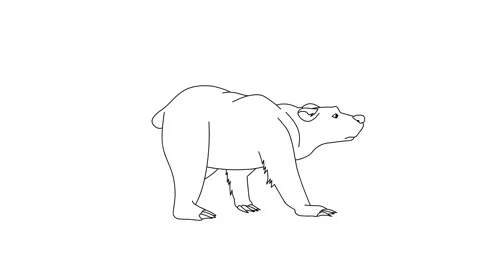 Bear Fast Walking Cartoon On Isolated White Background Stock Footage 244908042