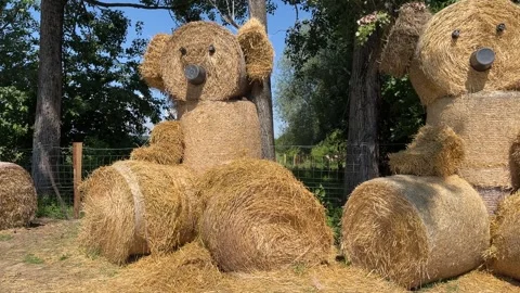 A bear figurine made from rolls of straw for the fun and joy of children Stock Footage 277593460