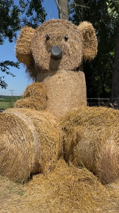 A bear figurine made from rolls of straw for the fun and joy of children Video stock 277596710