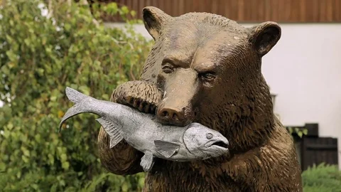 Bear with fish in his mouth. Stock Footage 75073768