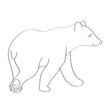 Bear flat illustration on white Stock Illustration