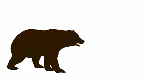Bear 動画素材 1066311