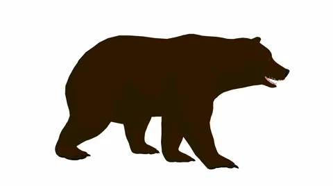Bear Stock Footage 1066312
