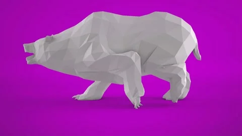 Bear Stock-Footage 168736564