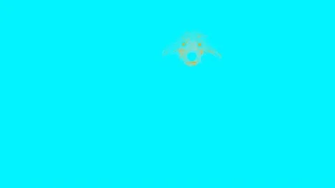 Bear Stock Footage 175224416