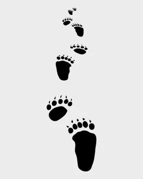 Bear footsteps Stock Illustration