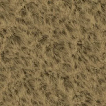 Bear fur Stock Illustration