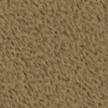 Bear fur Stock Illustration