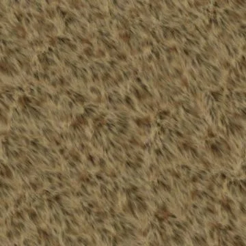 Bear fur Stock Illustration