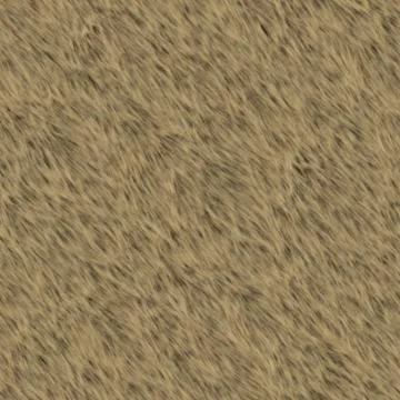 Bear fur Stock Illustration