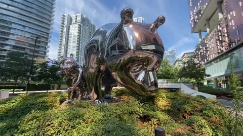 Bear Glass Stock Footage 162527025