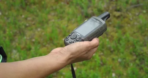 Bear GPS observation Stock Footage 172544783