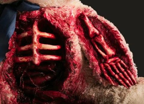 Bear on a gray background close-up with a skeletonized hand and a torn abdome Stock Photos