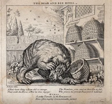 A bear has overturned a beehive and is attacked by bees. Etching by J. Kirk.. Stock Illustration