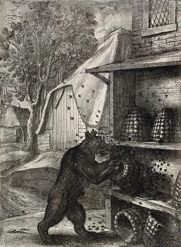 A bear has overturned two hives and is trying to prize out honey from a thi.. Stock Illustration