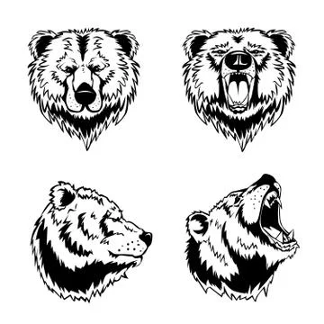 Bear Head Hand Drawn Engravings Illustrazione stock