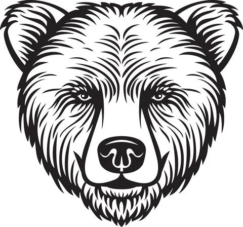 Bear head Stock Illustration