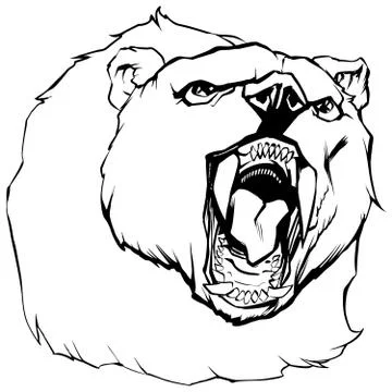Bear Head Illustration Stock Illustration
