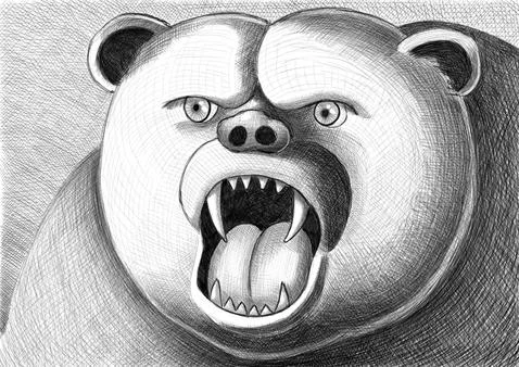 Bear head sketch, artwork Stock Illustration