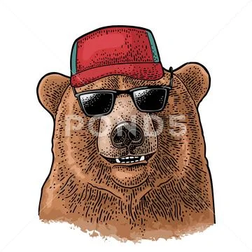 Bear head. Vintage color engraving illustration for poster. Isolated on white Stock Illustration