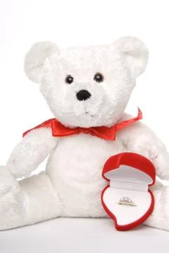 Bear Holding Engagement Ring Stock Photos