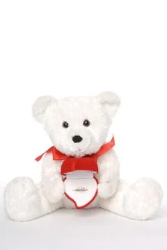 Bear Holding Engagement Ring Stock Photos