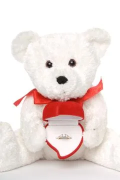 Bear Holding Engagement Ring 写真素材