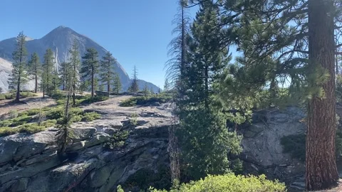 Bear on the horizon in front of Half Dome Stock Footage 274759437