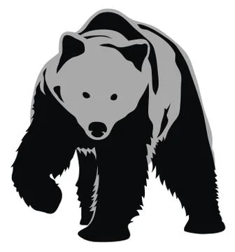 Bear Stock Illustration