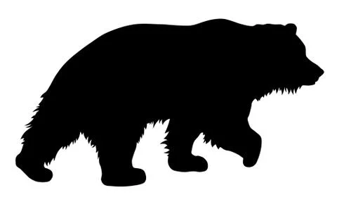 Bear Stock Illustration
