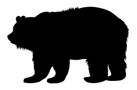 Bear Stock Illustration