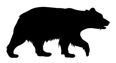 Bear Stock Illustration
