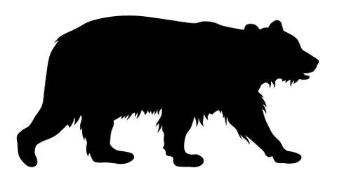 Bear Stock Illustration