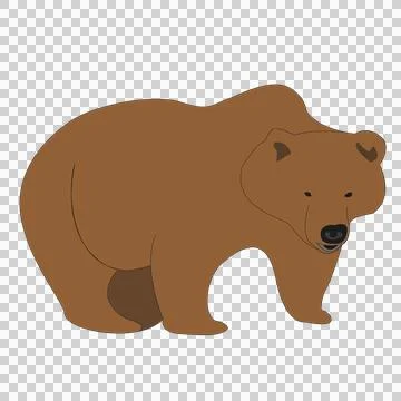 Bear Stock Illustration