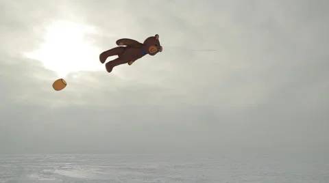 Bear Kite Video stock 47361972