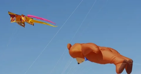 A bear kite - Kites of All Kinds And Shapes on International Kite Festival in Stock Footage 54200161