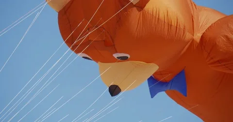 A Bear Kite - Kites of All Kinds And Shapes on International Kite Festival in Stock Footage 54201786