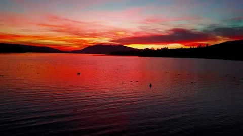 Bear Lake Pelicans - 2 스톡 동영상 115092965