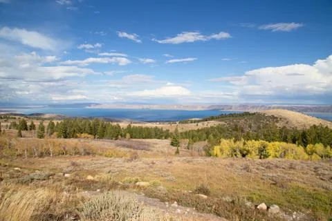 Bear lake Stock Photos