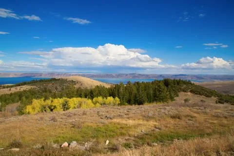 Bear lake Stock Photos