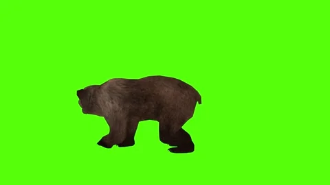 Bear left Claw Attack Green Sccreen Animation 4k Rendering Stock Footage 296262934