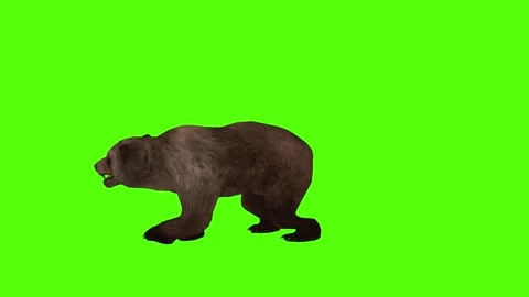 Bear left Claw Attack Green Sccreen Animation 4k Rendering Stock Footage 296262935