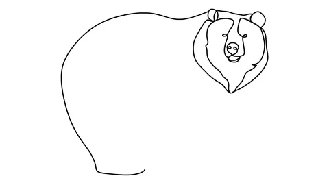 Bear line art. bear video animation. Stock-Footage 128422170
