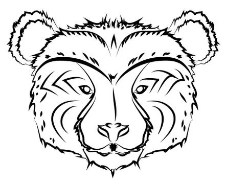 Bear line drawing Stock Illustration