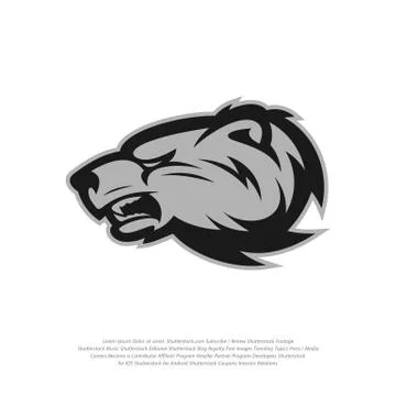 Bear Logo design vector. Modern professional grizzly bear logo for a sport te Stock Illustration
