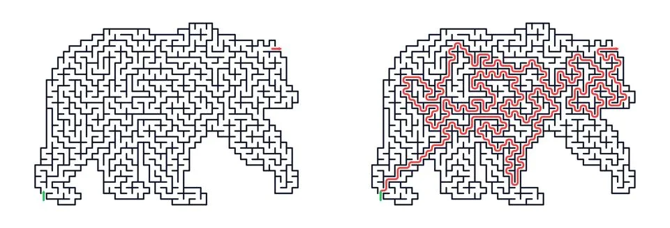 Bear maze puzzle with solution path. Educational game for child to find way o 库存插图