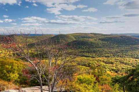 Bear Mountain Red Tree Foto stock