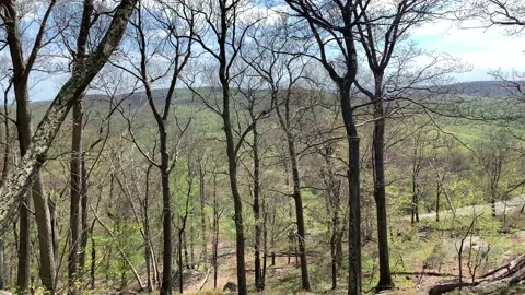 Bear Mountain State Park During Coronavirus Pandemic 4k 60fps Stock-Footage 130934504