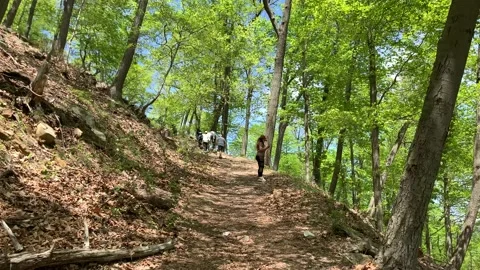 Bear Mountain State Park During Coronavirus Pandemic 4k 60fps Stock Footage 130934535